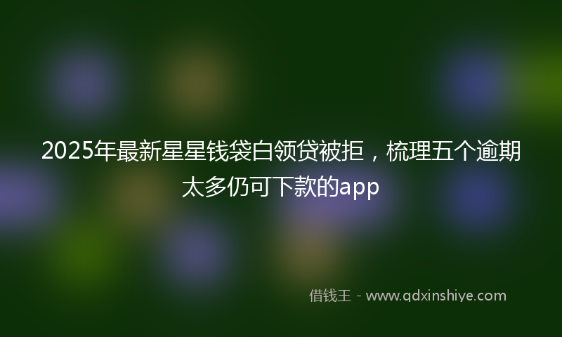 2025年最新星星钱袋白领贷被拒，梳理五个逾期太多仍可下款的app