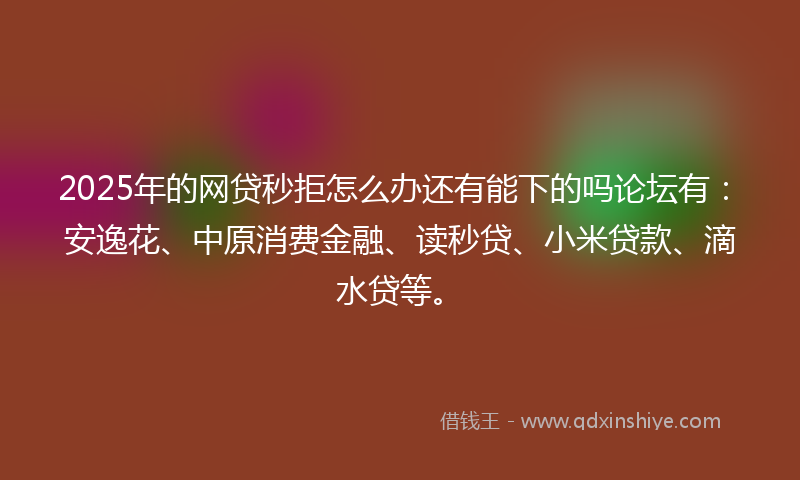 2025年的网贷秒拒怎么办还有能下的吗论坛有：安逸花、中原消费金融、读秒贷、小米贷款、滴水贷等。