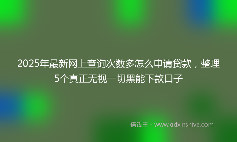 2025年最新网上查询次数多怎么申请贷款，整理5个真正无视一切黑能下款口子