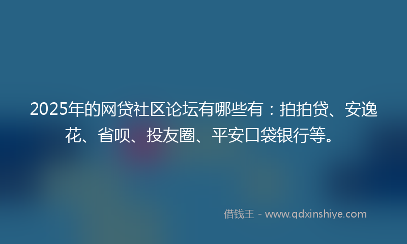 2025年的网贷社区论坛有哪些有：拍拍贷、安逸花、省呗、投友圈、平安口袋银行等。