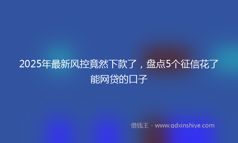 2025年最新风控竟然下款了，盘点5个征信花了能网贷的口子