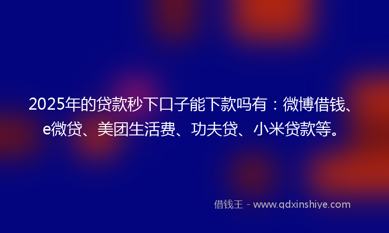 2025年的贷款秒下口子能下款吗有：微博借钱、e微贷、美团生活费、功夫贷、小米贷款等。