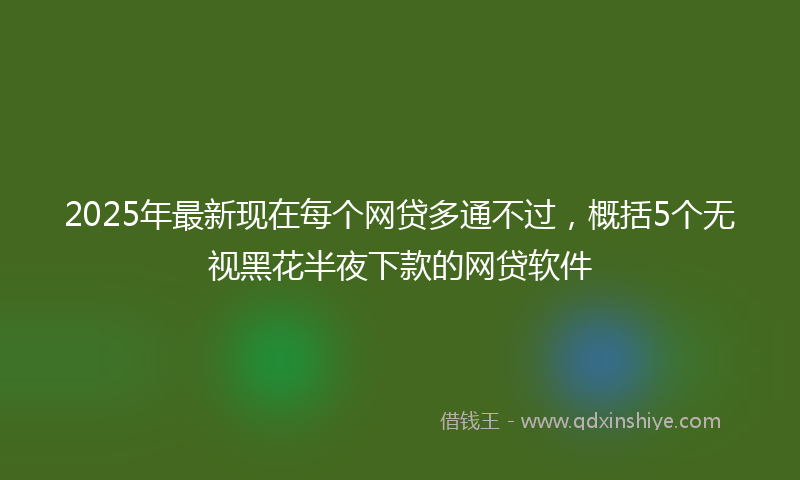 2025年最新现在每个网贷多通不过，概括5个无视黑花半夜下款的网贷软件