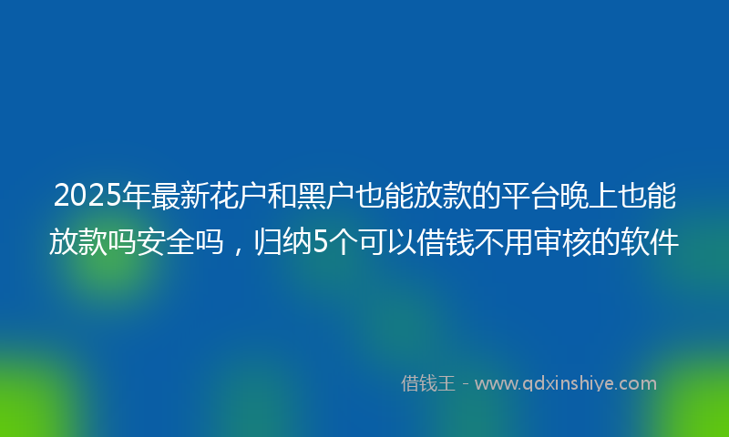 2025年最新花户和黑户也能放款的平台晚上也能放款吗安全吗，归纳5个可以借钱不用审核的软件