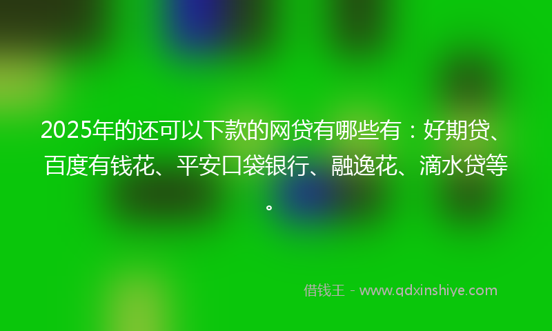 2025年的还可以下款的网贷有哪些有：好期贷、百度有钱花、平安口袋银行、融逸花、滴水贷等。