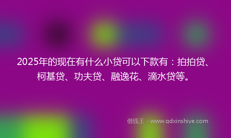 2025年的现在有什么小贷可以下款有：拍拍贷、柯基贷、功夫贷、融逸花、滴水贷等。