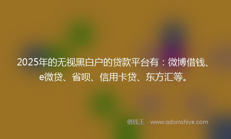2025年的无视黑白户的贷款平台有：微博借钱、e微贷、省呗、信用卡贷、东方汇等。
