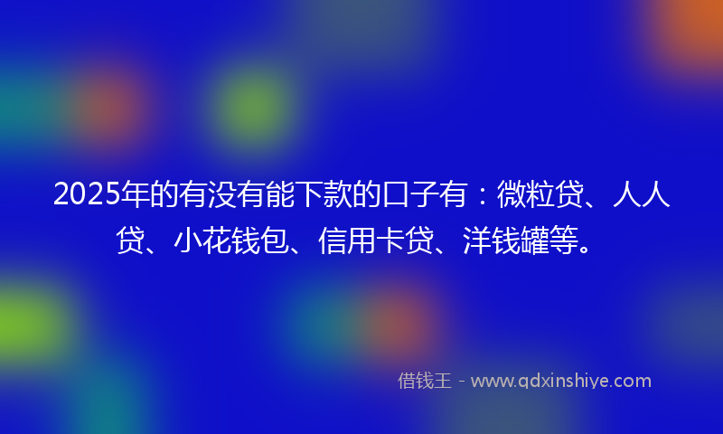 2025年的有没有能下款的口子有：微粒贷、人人贷、小花钱包、信用卡贷、洋钱罐等。