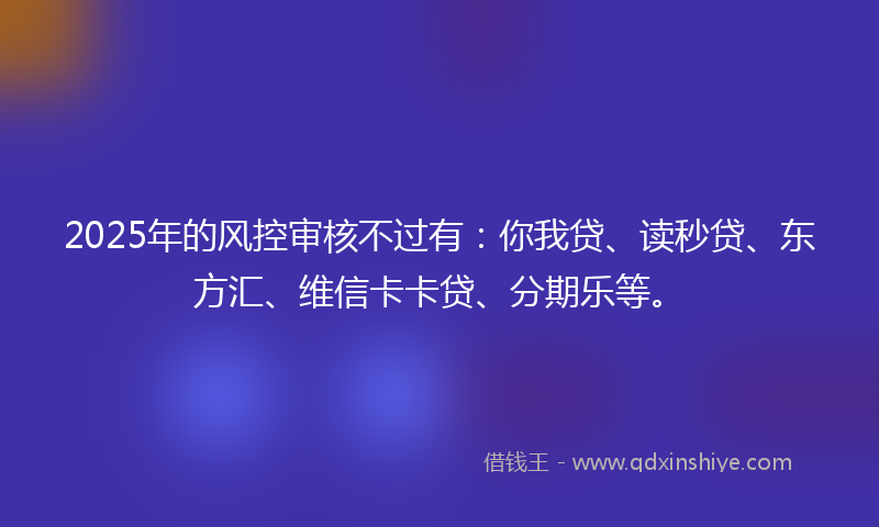 2025年的风控审核不过有：你我贷、读秒贷、东方汇、维信卡卡贷、分期乐等。