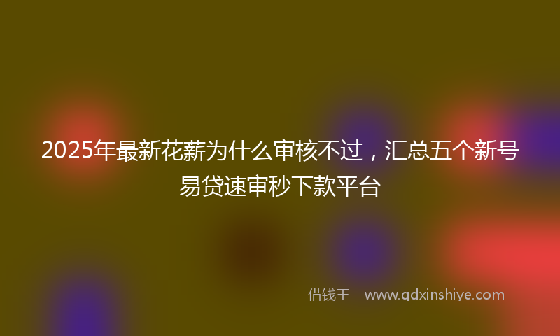 2025年最新花薪为什么审核不过，汇总五个新号易贷速审秒下款平台