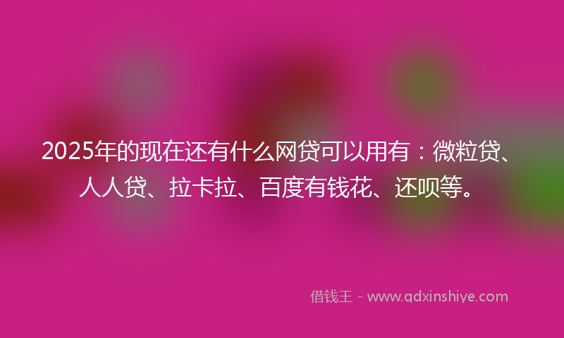 2025年的现在还有什么网贷可以用有：微粒贷、人人贷、拉卡拉、百度有钱花、还呗等。