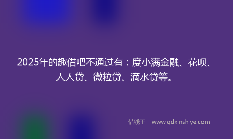 2025年的趣借吧不通过有：度小满金融、花呗、人人贷、微粒贷、滴水贷等。