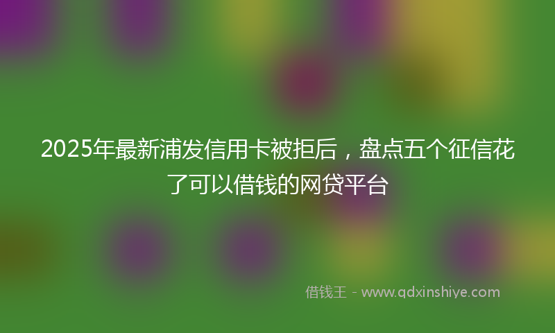 2025年最新浦发信用卡被拒后，盘点五个征信花了可以借钱的网贷平台