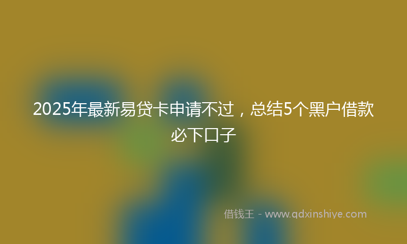 2025年最新易贷卡申请不过，总结5个黑户借款必下口子