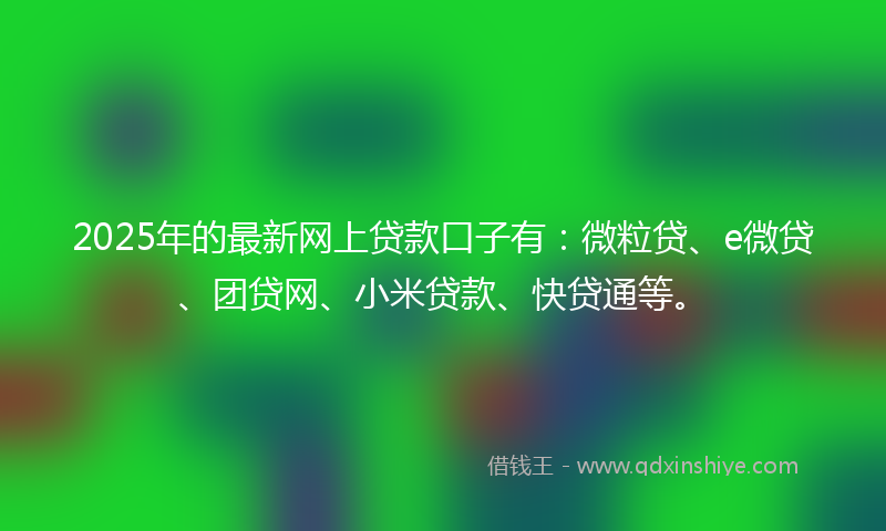 2025年的最新网上贷款口子有：微粒贷、e微贷、团贷网、小米贷款、快贷通等。