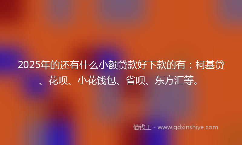 2025年的还有什么小额贷款好下款的有：柯基贷、花呗、小花钱包、省呗、东方汇等。