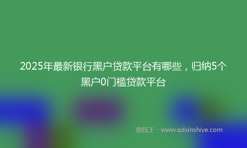2025年最新银行黑户贷款平台有哪些，归纳5个黑户0门槛贷款平台