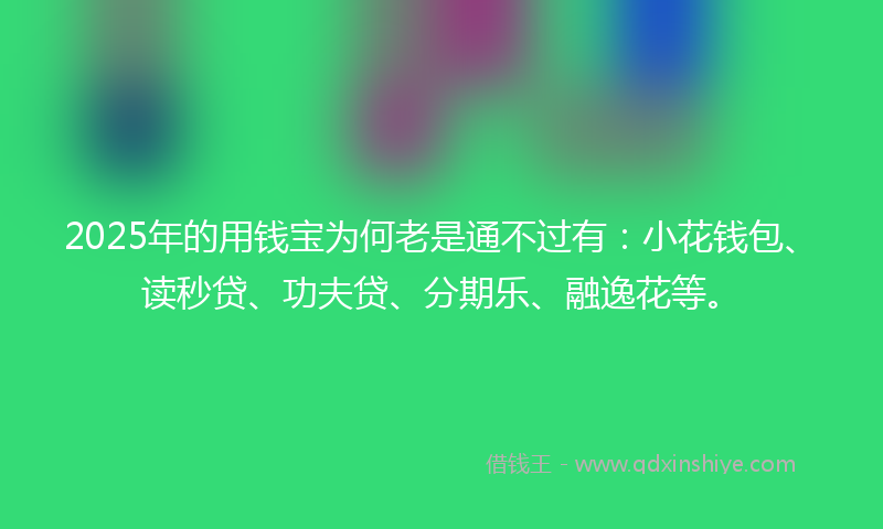 2025年的用钱宝为何老是通不过有：小花钱包、读秒贷、功夫贷、分期乐、融逸花等。