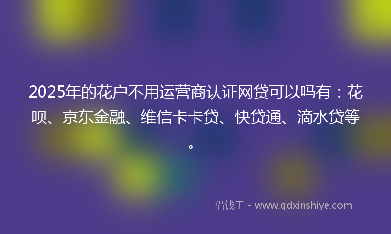 2025年的花户不用运营商认证网贷可以吗有：花呗、京东金融、维信卡卡贷、快贷通、滴水贷等。