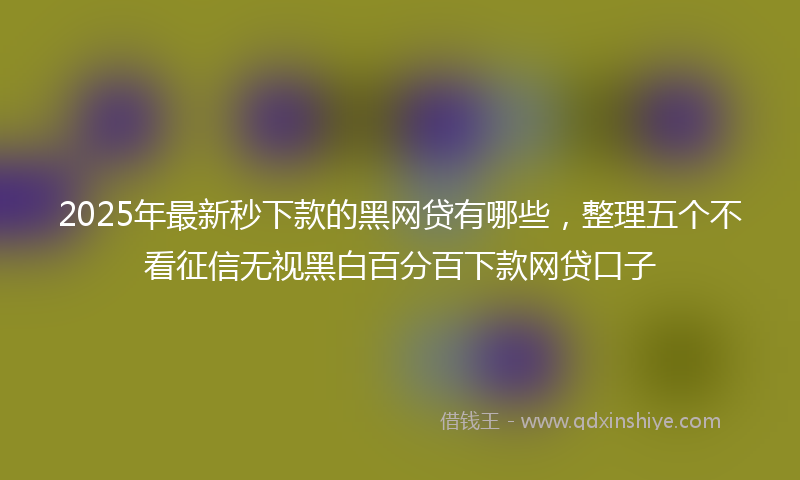 2025年最新秒下款的黑网贷有哪些，整理五个不看征信无视黑白百分百下款网贷口子