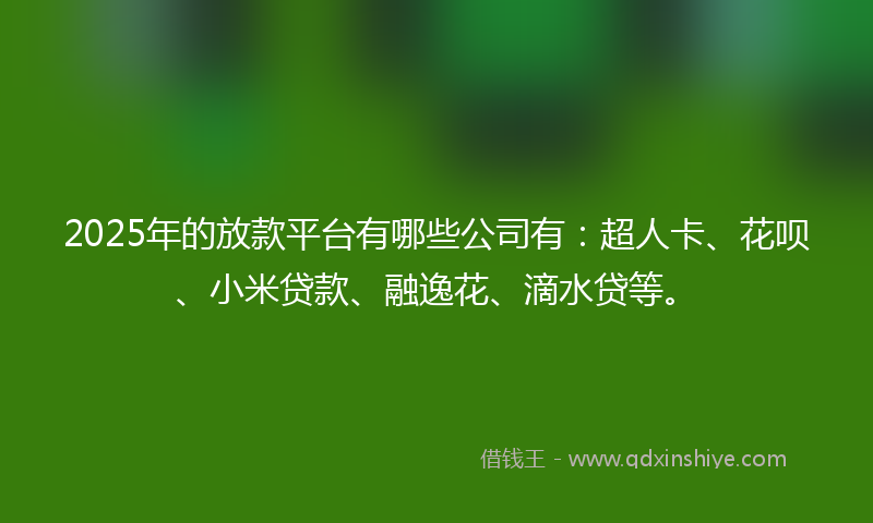2025年的放款平台有哪些公司有：超人卡、花呗、小米贷款、融逸花、滴水贷等。