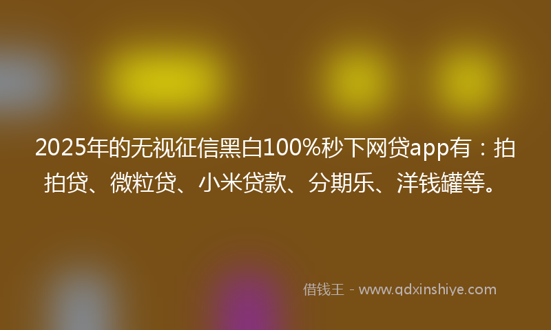 2025年的无视征信黑白100%秒下网贷app有：拍拍贷、微粒贷、小米贷款、分期乐、洋钱罐等。