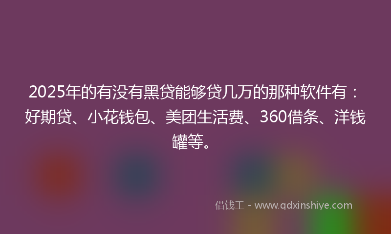 2025年的有没有黑贷能够贷几万的那种软件有：好期贷、小花钱包、美团生活费、360借条、洋钱罐等。