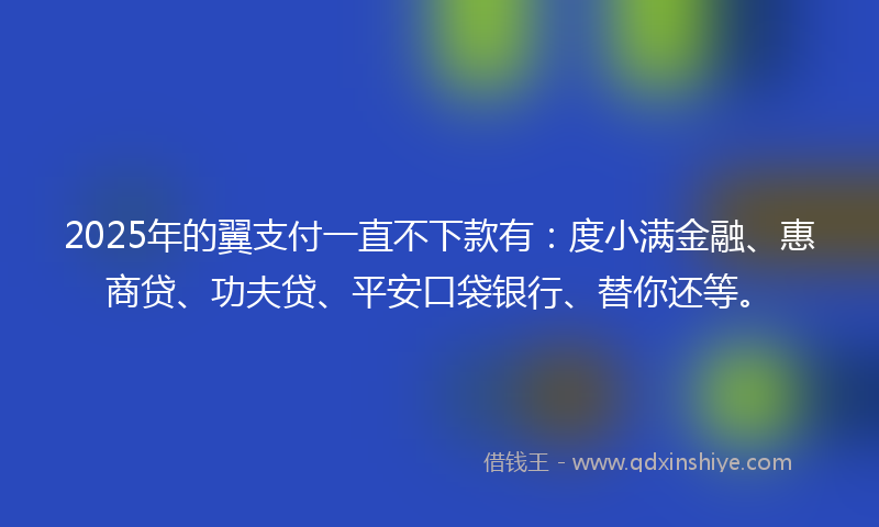 2025年的翼支付一直不下款有：度小满金融、惠商贷、功夫贷、平安口袋银行、替你还等。