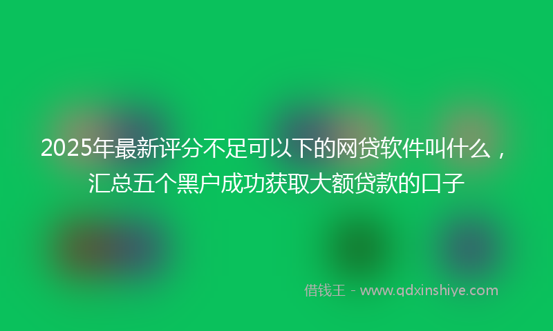 2025年最新评分不足可以下的网贷软件叫什么，汇总五个黑户成功获取大额贷款的口子