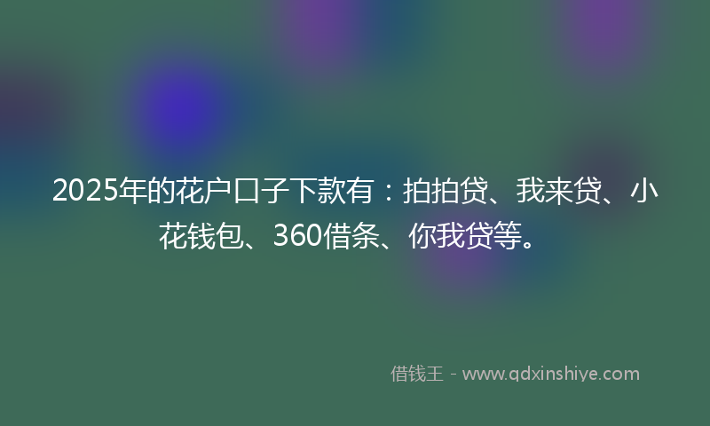 2025年的花户口子下款有：拍拍贷、我来贷、小花钱包、360借条、你我贷等。