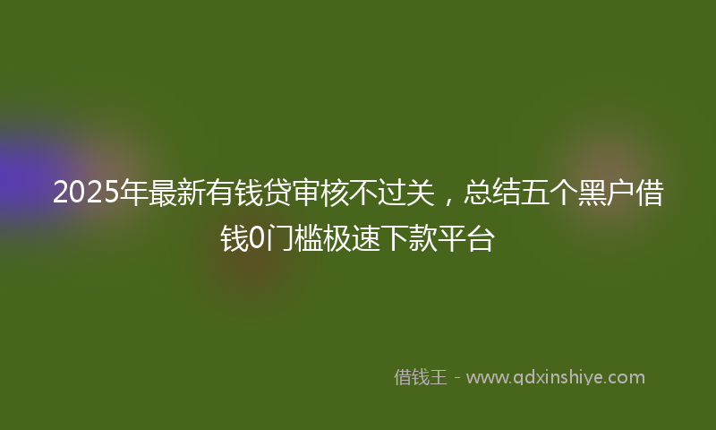2025年最新有钱贷审核不过关，总结五个黑户借钱0门槛极速下款平台