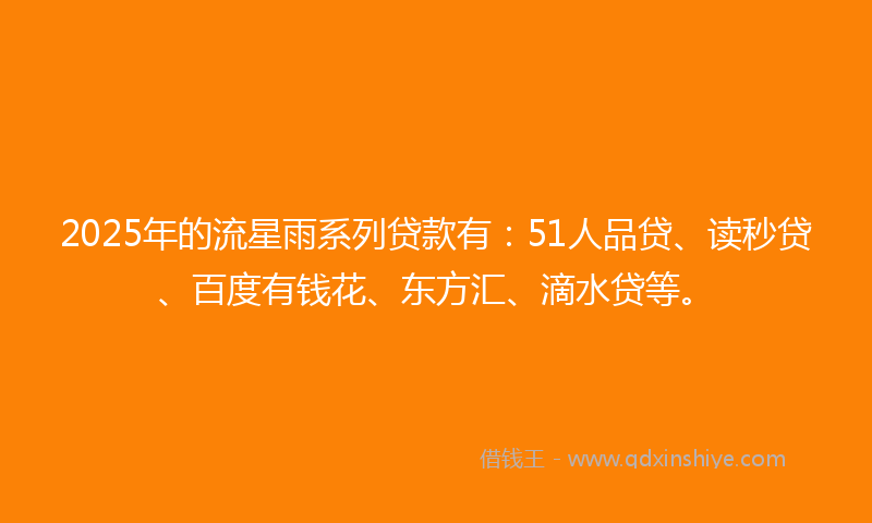 2025年的流星雨系列贷款有：51人品贷、读秒贷、百度有钱花、东方汇、滴水贷等。