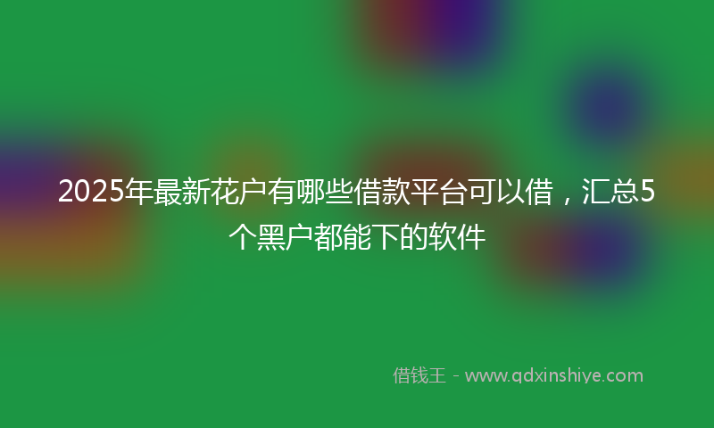 2025年最新花户有哪些借款平台可以借，汇总5个黑户都能下的软件