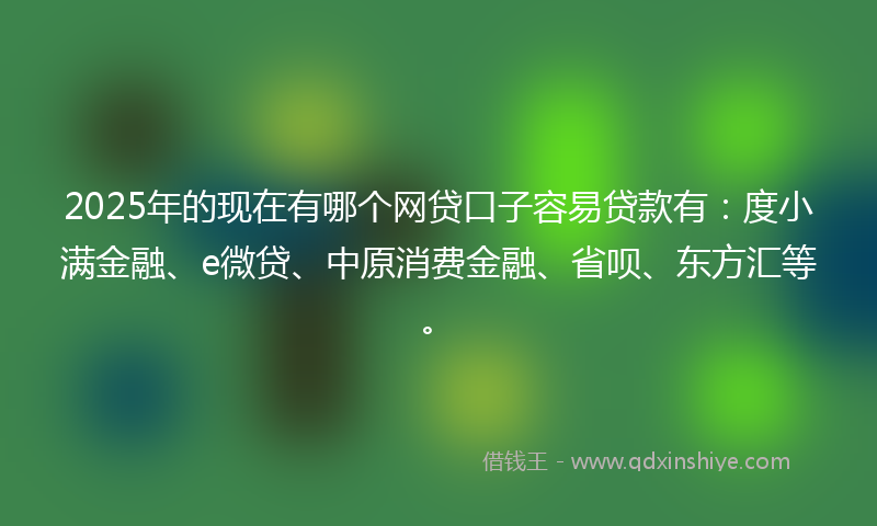 2025年的现在有哪个网贷口子容易贷款有:度小满金融、e微贷、中原消费金融、省呗、东方汇等。