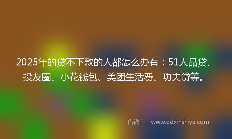 2025年的贷不下款的人都怎么办有：51人品贷、投友圈、小花钱包、美团生活费、功夫贷等。