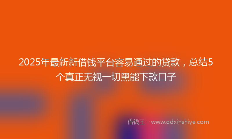 2025年最新新借钱平台容易通过的贷款，总结5个真正无视一切黑能下款口子