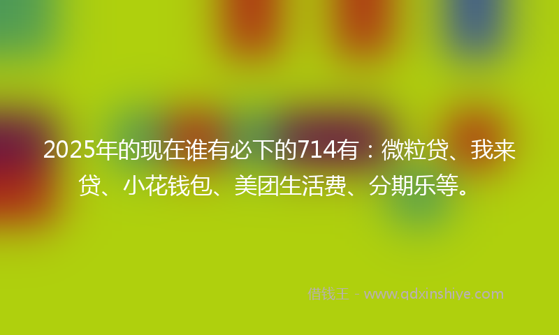 2025年的现在谁有必下的714有：微粒贷、我来贷、小花钱包、美团生活费、分期乐等。