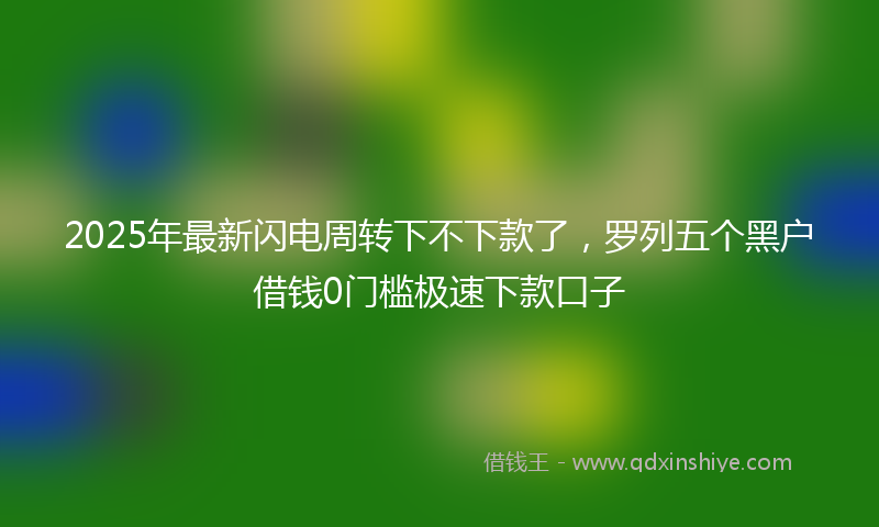 2025年最新闪电周转下不下款了，罗列五个黑户借钱0门槛极速下款口子