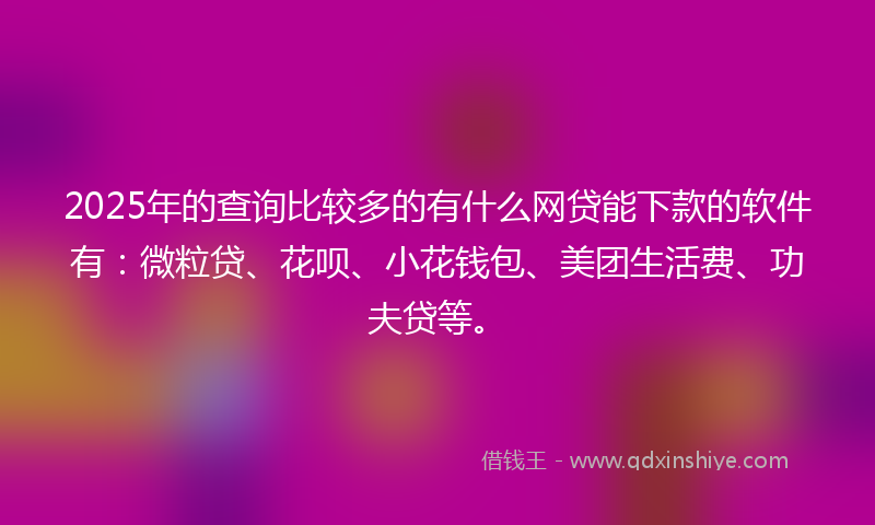 2025年的查询比较多的有什么网贷能下款的软件有：微粒贷、花呗、小花钱包、美团生活费、功夫贷等。