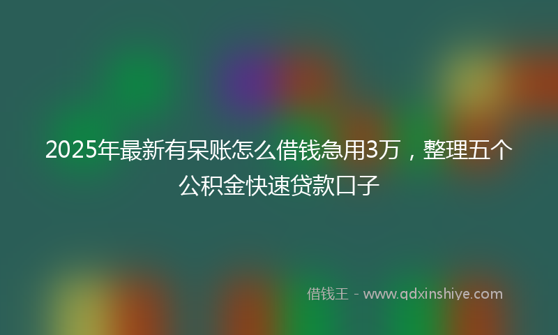 2025年最新有呆账怎么借钱急用3万，整理五个公积金快速贷款口子