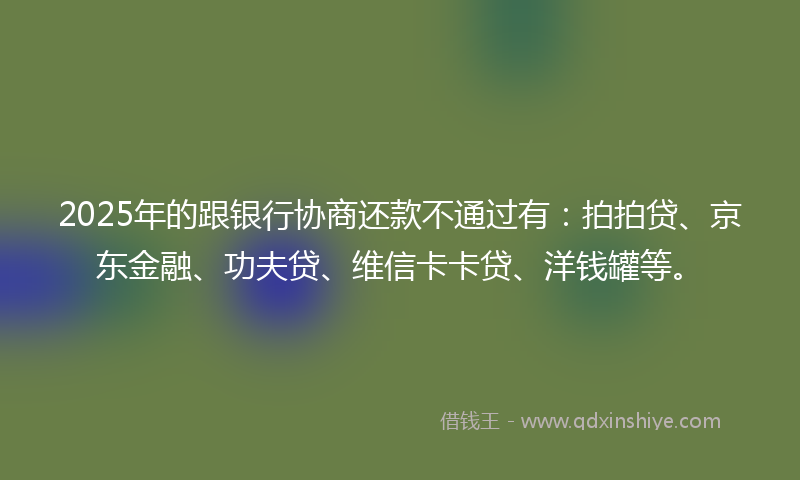 2025年的跟银行协商还款不通过有：拍拍贷、京东金融、功夫贷、维信卡卡贷、洋钱罐等。