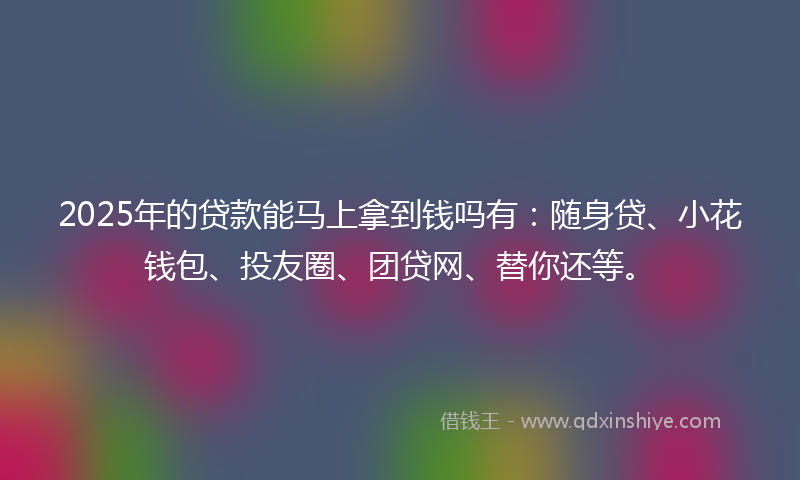 2025年的贷款能马上拿到钱吗有：随身贷、小花钱包、投友圈、团贷网、替你还等。