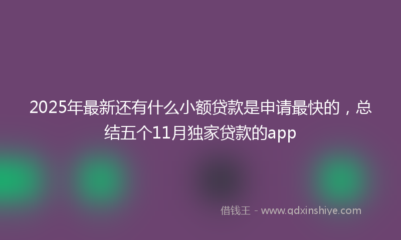 2025年最新还有什么小额贷款是申请最快的，总结五个11月独家贷款的app