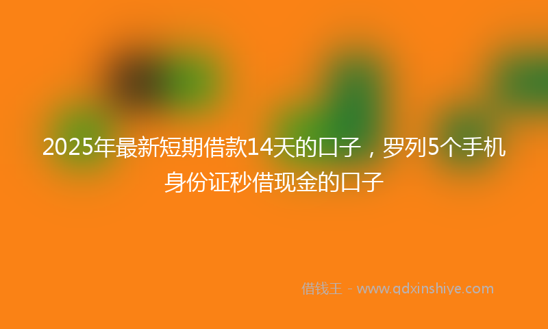 2025年最新短期借款14天的口子，罗列5个手机身份证秒借现金的口子