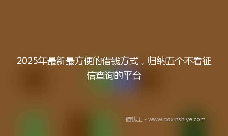 2025年最新最方便的借钱方式，归纳五个不看征信查询的平台