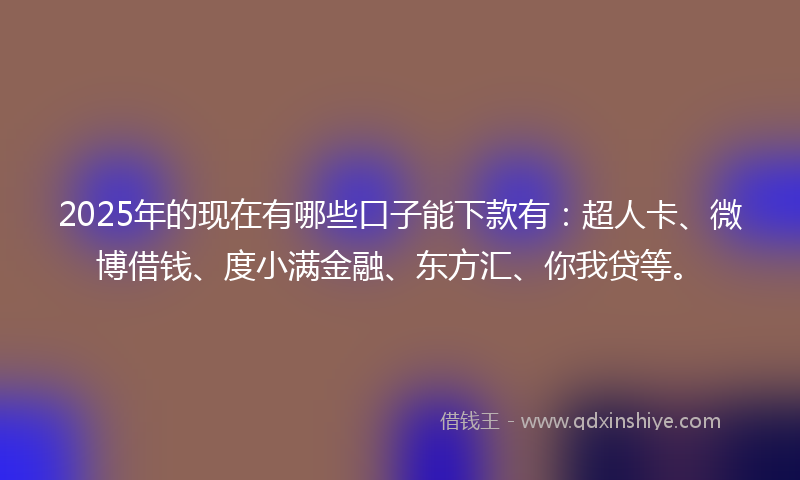 2025年的现在有哪些口子能下款有：超人卡、微博借钱、度小满金融、东方汇、你我贷等。