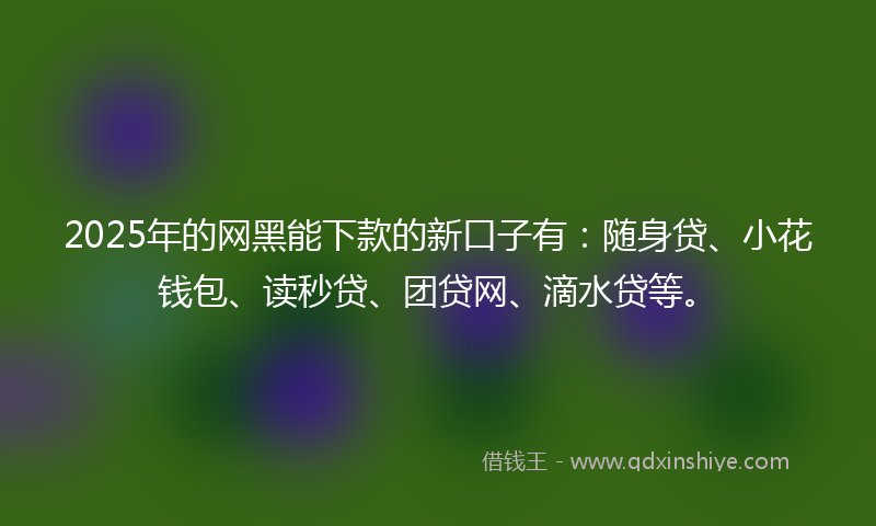2025年的网黑能下款的新口子有:随身贷、小花钱包、读秒贷、团贷网、滴水贷等。