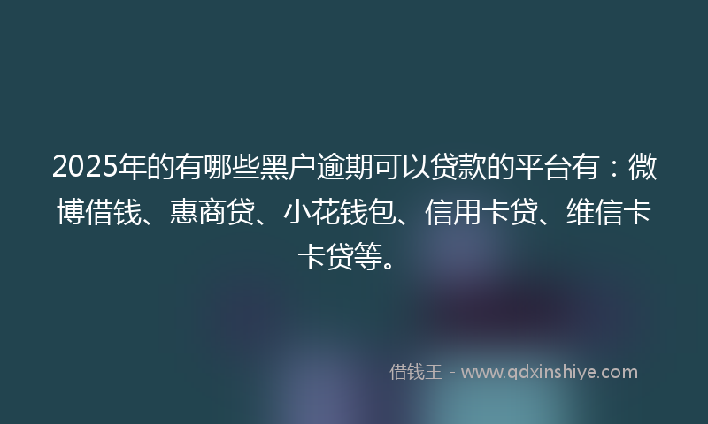 2025年的有哪些黑户逾期可以贷款的平台有：微博借钱、惠商贷、小花钱包、信用卡贷、维信卡卡贷等。