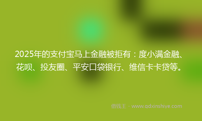 2025年的支付宝马上金融被拒有：度小满金融、花呗、投友圈、平安口袋银行、维信卡卡贷等。