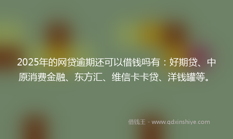 2025年的网贷逾期还可以借钱吗有：好期贷、中原消费金融、东方汇、维信卡卡贷、洋钱罐等。